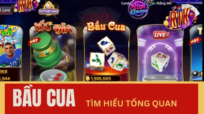 Tìm hiểu tổng quan game bầu cua