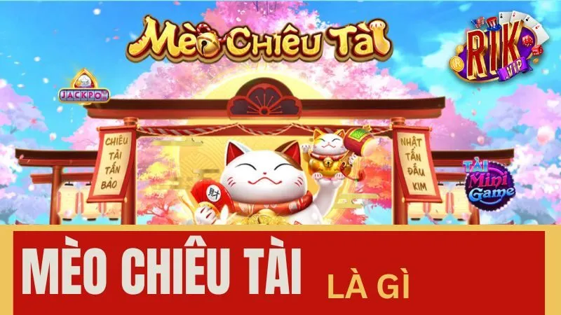 Mèo Chiêu Tài